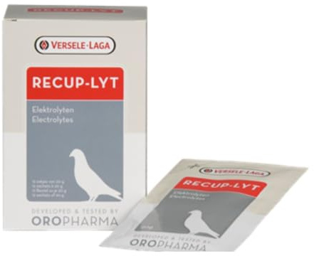 Recup-Lyt Electrolyte, 12 Tütchen mit je 20 g