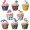 Kuchen Deko Dinosaurier, Diealles Shine 48 Stück Cupcake Wrappers mit Cake Topper Dino, Niedliche Muffinförmchen Papier Kinder, Tortendeko Dinosaurier fur Geburtstag Party