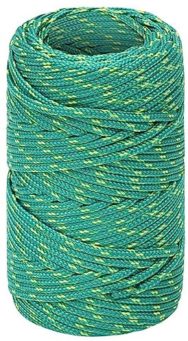 vidaXL Cuerda de Barco Polipropileno Verde 2 mm 250 m, Cuerda, Cuerda enrollada, cordón Trenzado, Cuerda Trenzada, Cuerda de Anclaje, Cuerda marítima
