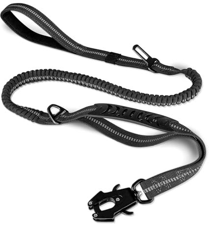 Laisse Antidéflagrante pour Chien de Compagnie, Corde Absorption des Chocs, Durable pour Chiens de Taille Moyenne, Grande et Très Grande