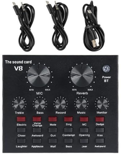 Professional Sound Effects Board for Live Streaming Singing, Metal Black | Adjustable Microphone Volume and Reverberation Size, High Performance for Shouting and Singing, Sound Card