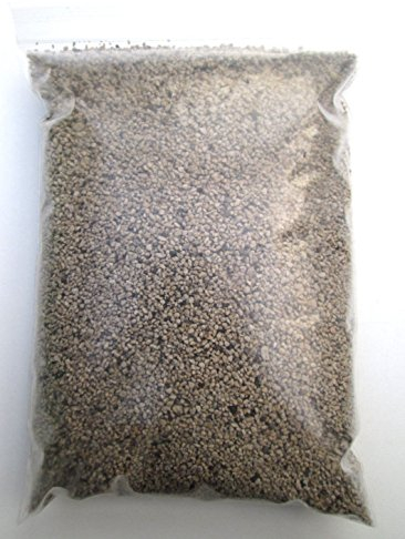 10 Pumice Cups -Grade propagation -1/8-1/16 for seed starts & cuts: Only Seeds
