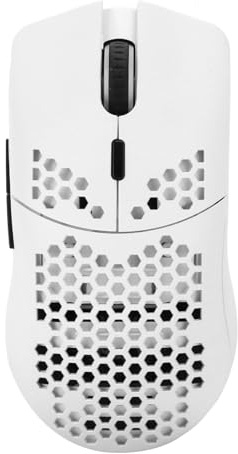 RASTKY Souris D'ordinateur Creuse sans Fil Portable, 2,4 GHz, avec 6 Modes de Rétroéclairage RVB, Adaptée aux Utilisateurs D'ordinateurs Généraux (White)