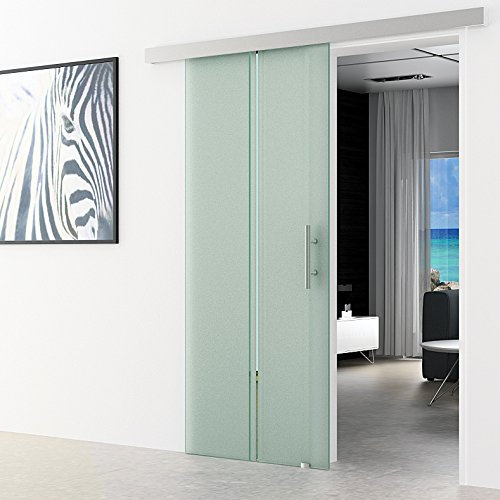 Schiebetür aus Glas 102,5x205 cm senkrecht gestreift Dorma Agile 50 System komplett EV1 Alu-Laufschiene und Edelstahl-Stangengriffe Schiebetür aus ESG Glastür sehr hochwertig