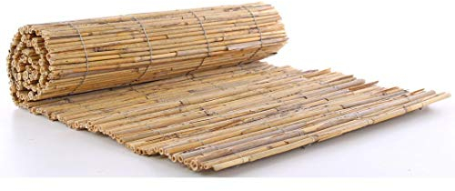 bambus-discount.com Winterschutz Matte, Schilfrohrmatte mit 50 x 150cm, Natur - Dekorative und effiziente Ummantelung von Pflanzen im Winter