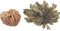 Rose, Jericho, Pflanze der Resurktion, 8 cm, magisch, Glück, Blume, Golden