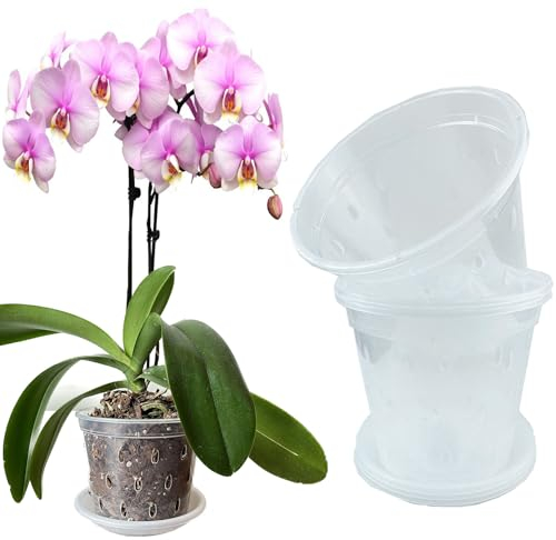 Mesoar Pots à orchidée en plastique transparent de 14 cm avec trous et soucoupes pour plantes et fleurs - Pots à orchidée pour le rempotage de fleurs et de fleurs - Pour l'intérieur et l'extérieur (4,