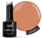 Halo EasiBuild Vegan Brush On Builder Gel - Macaron 8ml (N3031)