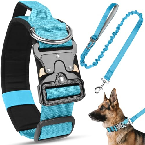 Viugex Collier pour Chien et Laisse, Militaire Collier Réglable Chien Rembourré avec Boucle en Métal Robuste, Respirant Nylon Dog Collar pour Petits, Moyens et Grands Chiens (Bleu, XL)