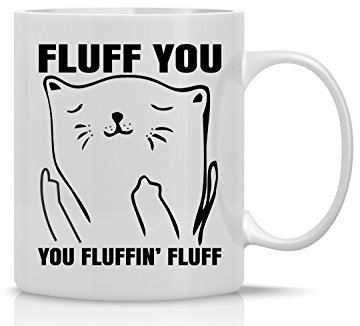 Fluff You, You Fluffin Fluff - 11oz Ceramic Coffee Mug - Funny Cup for Crazy Cat Ladies - Grumpy Cat Lover Gifts - Cute Unique Cat Mom Gifts for Birthdays, Holidays and Mother’s Day - by CBT Mugs