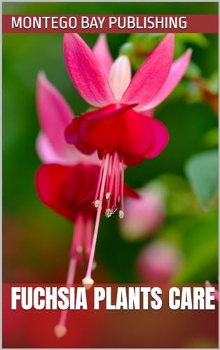 Fuchsia Plants Care (Growing Fresh Flowers)