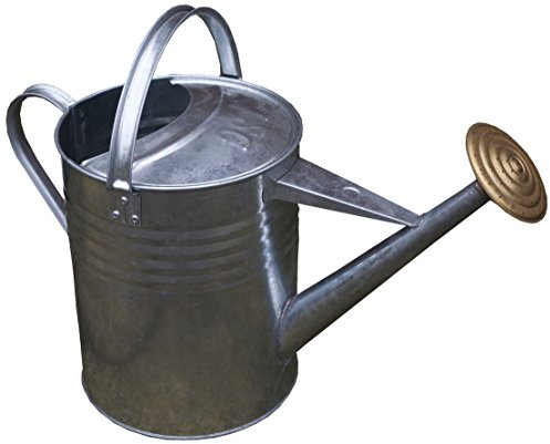 Apollo Gardening Ltd GALVANISED WATERING CAN 76472