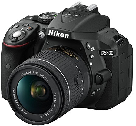 Nikon D5300 appareil photo reflex numérique, 24,1 mégapixels, SD 8 Go 200 x Premium Lexar -