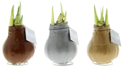No Water Flowers Waxz Metallic Gold/Silver/Copper | 3 pezzi - 15cm - Ø7cm - Pianta d'appartamento - Multideal