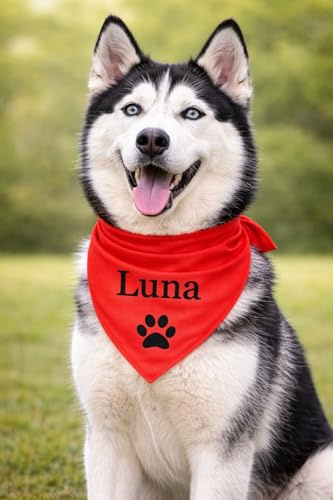 Bandana Chien Personnalisé avec Nom – Foulard pour Chien Personnalisable avec Texte & Symbole – Lavable – Fabriqué et Personnalisé en Europe (M, Couleur Unie)