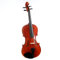 V5SC Violine 4/4 - Violine