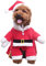 Bingpet Weihnachts-Kostüm für Hunde, mit Mütze, Haustier-Kleidung, Weihnachts-Outfit, Kapuzenpullover, für kleine bis große Hunde, Welpen, Katzen, Cosplay, Feiertage