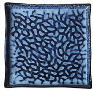 SHOWERORO Embossed Ceramic Sushi Plate Square Design for Pasta Serving Fruit Display at Home Gatherings and Restaurant Settings