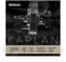 Corda singola MI D'Addario Kaplan Golden Spiral Solo per violino, scala 4/4, tensione media