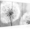 Runa Art Wandbilder Pusteblume Bild XXL Wohnzimmer Schlafzimmer Schwarz Weiss Natur 120 x 80 cm 3 Teilig 207131c