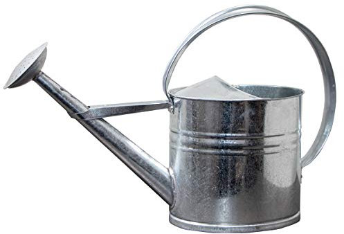 Antikas - Gießkanne aus Altzink, L, Silber, Deko-Kanne