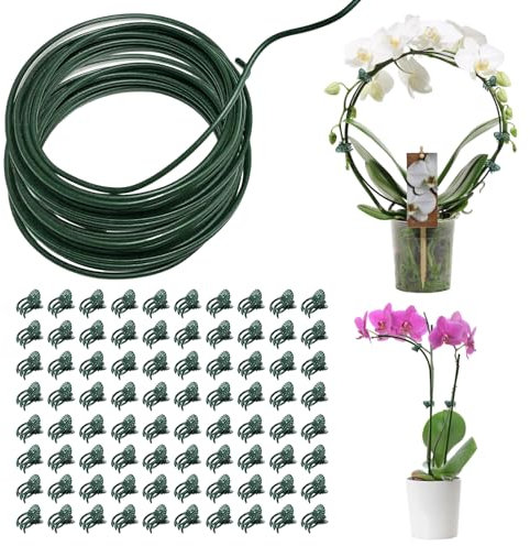 1 Pièces DIY Tuteurs pour Plantes Tuteur Plante Interieur avec 80 Clips de Support pour Plantes Tuteur Tomate Tuteur Plante Grimpante Tuteur Plante pour Plantes Convient aux Roses Pivoines Lys Vignes