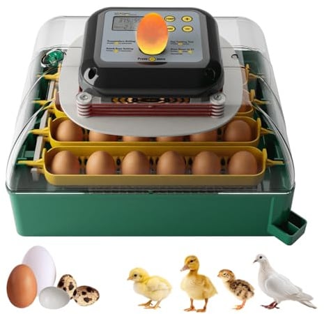 Brutautomat Vollautomatisch 24 Eier, Inkubator für Hühner, Enten und Tauben | Inkubator mit mit Inkubations-Countdown, Brutmaschine mit Temperaturregelung, Feuchtigkeitsanzeige und Eierleuchter