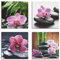 ARTLAND Wanddeko Wellness Bilder Leinwand Bilder Set 4tlg. je 40x40 cm Quadratisch Wandbilder Zen Orchidee Stein Tropfen Spa S6MH