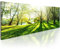 B&D XXL - Wandbilder XXL Landschaft 120x40 cm 1 tlg - Leinwandbilder Wohnzimmer großes BIld auf Leinwand Schlafzimmer Kunstdrucke Wandbild Panoramabild - Natur Bäume Wald Sonnenstrahlen c-B-0053-b-a