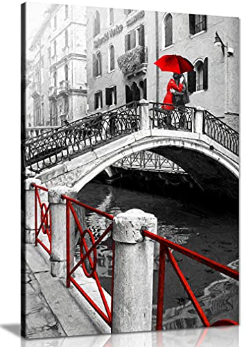 Panther Print, Canvas Prints, Framed Bedroom Wall Art, Living Room Decoration, Black & White, Red Painting Venice Romantic, Art Prints for Special Occasions (24x16 Inch)