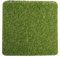 Toilettes Pour Chien En Her-be | Faux Gazon Pour Chien, Tapis De Remplacement Pour L'apprentissage De La Propreté Du Chien, Tapis En Gazon Artificiel Pour Chiots Et Petits Animaux De Compagnie