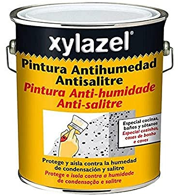 XYLAZEL Soluciones pintura antisalitre - 4 L