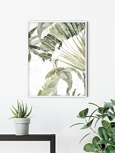 Komar Wandbild - Oiseau Cacadoo - Größe: 50 x 70 cm - Poster, Kunstdruck, Dekoration, Wohnzimmer, Schlafzimmer (ohne Rahmen)