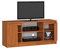 BDW Kommode, RTV Schrank, TV Gerät, viel Stauraum, Kleiderschrank, Diele, Wohnzimmer, Schlafzimmer Kommode, Multifunktionsschrank. Abmessungen: 120 x 55 x 40 cm (Erle)