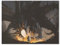 1000 Stück Puzzle，Mädchen im Kampf gegen den Feuerdrachen，Erwachsene Kinder Karton s pielzeug Lernspiel（38x26cm-134