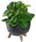 KADAX Vaso da fiori in plastica con tre supporti da inserimento, vaso rotondo per fiori, fioriera per balcone, soggiorno (nero, diametro 24 cm)