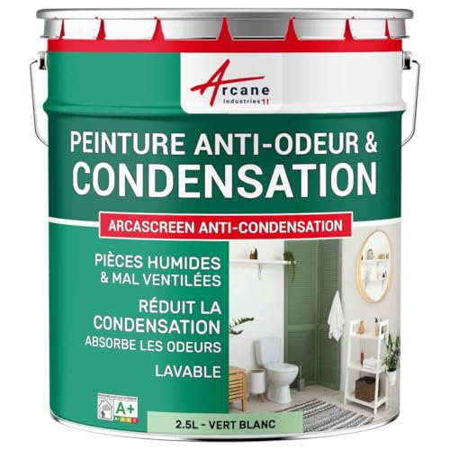 Peinture anti condensation, anti odeur, moisissure - 2.5 L Vert Blanc - RAL 6019 - ARCANE INDUSTRIES