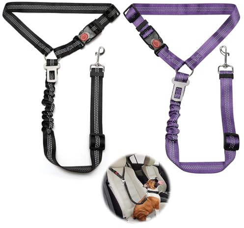 2 Stück Verstellbarer Hundegurt fürs Auto, Sicherheitsgurt Hunde mit Ruckdämpfer Elastisch, Hunde Sicherheitsgurt Auto für Kleine Mittelgroße große Hunde und Alle Autotypen, Schwarz + Violett