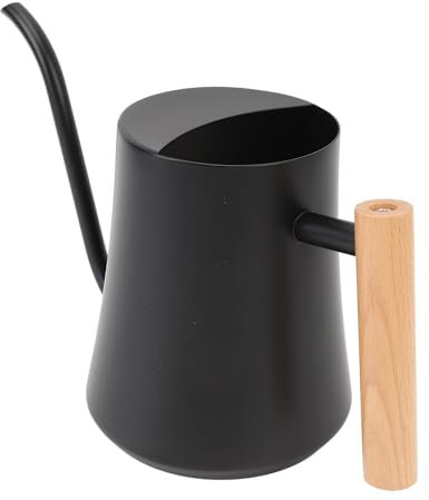 Regadera de Acero Inoxidable, Regadera Interior de 1 Litro Finamente Hecha a Mano para Plantas Suculentas (Negro Mate)