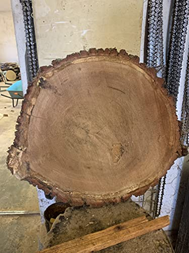 Baumscheibe, Holzscheibe Tischplatte Eiche ca. 60/5