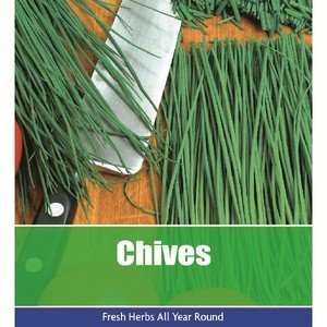 De Ree Chives Allium Schoenoprasum Herbs Herb Vegetable Plant 125 Seeds