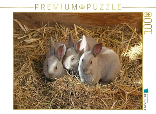 CALVENDO Puzzle Niedliche Kaninchenkinder 1000 Teile Puzzle quer | Lege-Größe cm Foto-Puzzle für glückliche Stunden