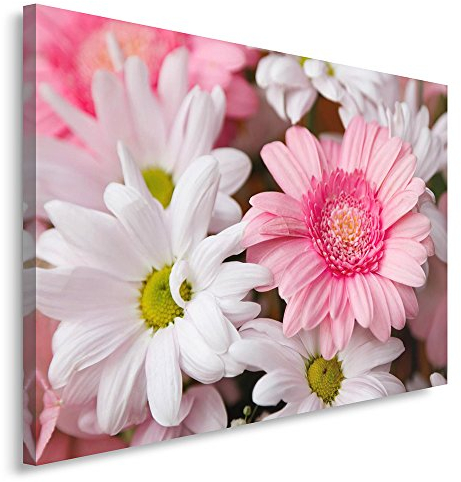 Feeby. Wandbild - 1 Teilig - 60x80 cm, Leinwand Bild Leinwandbilder Bilder Wandbilder Kunstdruck, GÄNSEBLÜMCHEN, BLUME, NATUR, WEIß, VIOLETT