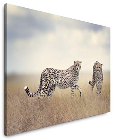 Paul Sinus Art Geparden in Afrika Wandbild in verschiedenen Größen Wähle Deine Größe 150x100cm