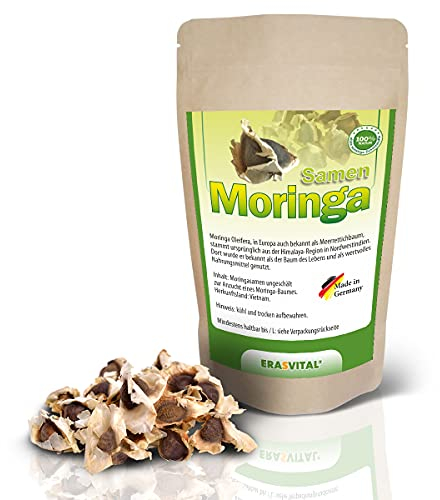Moringa Oleifera Samen 200g ca. 790 Samen