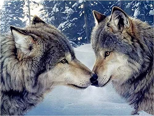 Meecaa Diamond Painting Set Full Bilder Wolf Tier Ehepartner Schnee, 5D Diamant Painting Diamant Malerei mit Zubehör 30x40cm (Wolf)