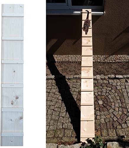Katzenleiter Katzentreppe Katzenstufe für Balkon Treppe 6 m mit Klemmen