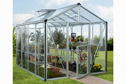 Vitavia Gewächshaus Zeus - Ausführung: 8100 ESG 4 mm Alu, Fläche: ca. 8,0 m², Fenster: 2, Maße: 257 x 314 cm, Sockel: 256 x 314 cm,