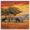 ARTLAND Wanduhr ohne Tickgeräusche Alu Quarzuhr 30x30 cm Quadratisch Lautlos Afrika Safari Tiere Elefant Natur Bildmalerei T4EH