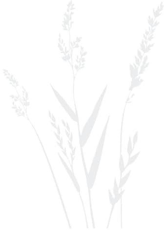 CLICKANDPRINT Aufkleber » Gräser, 30x21,1cm, Weiß • Wandtattoo/Wandaufkleber/Wandsticker/Wanddeko/Vinyl